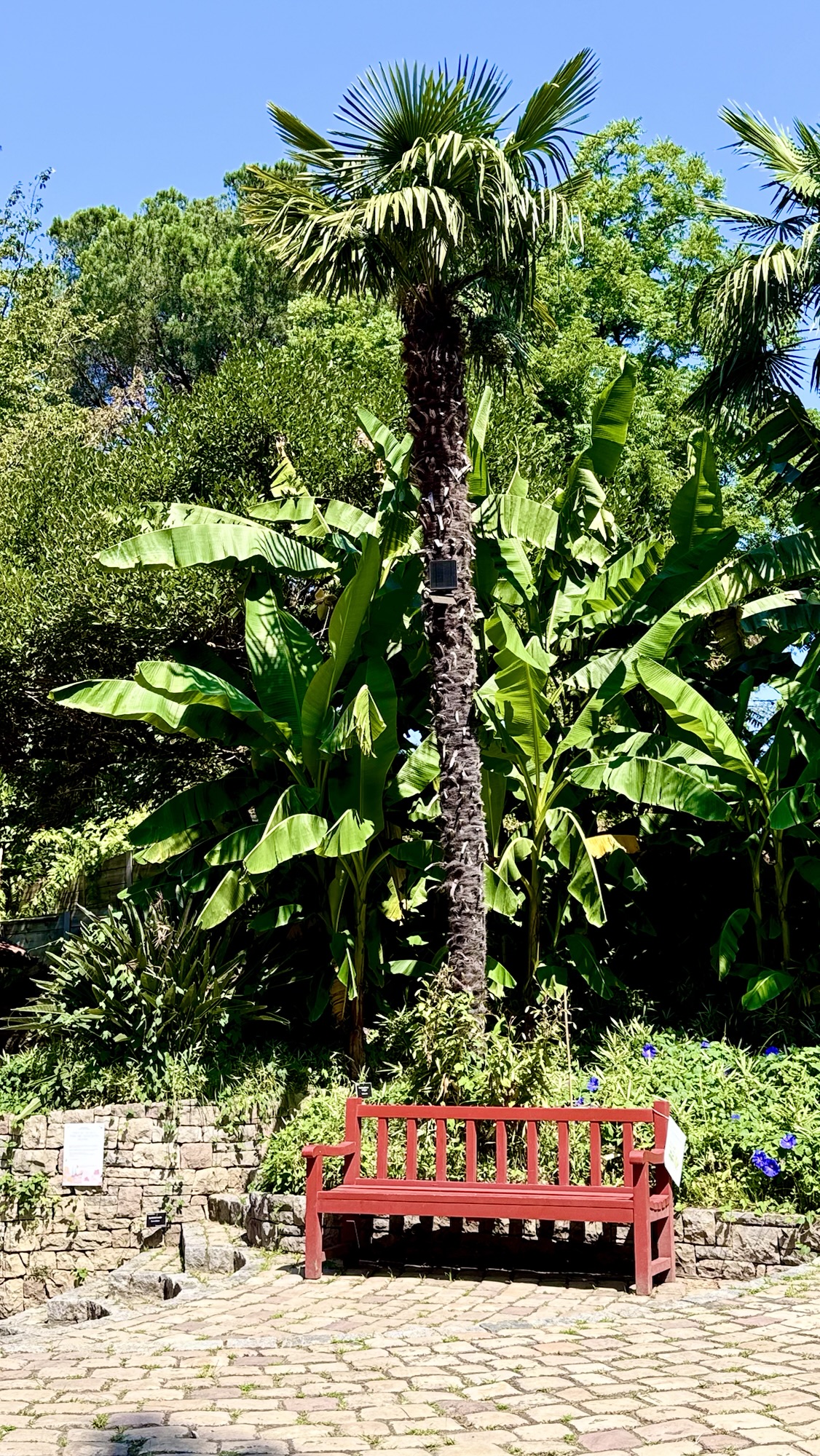 jardin botanique Bayonne