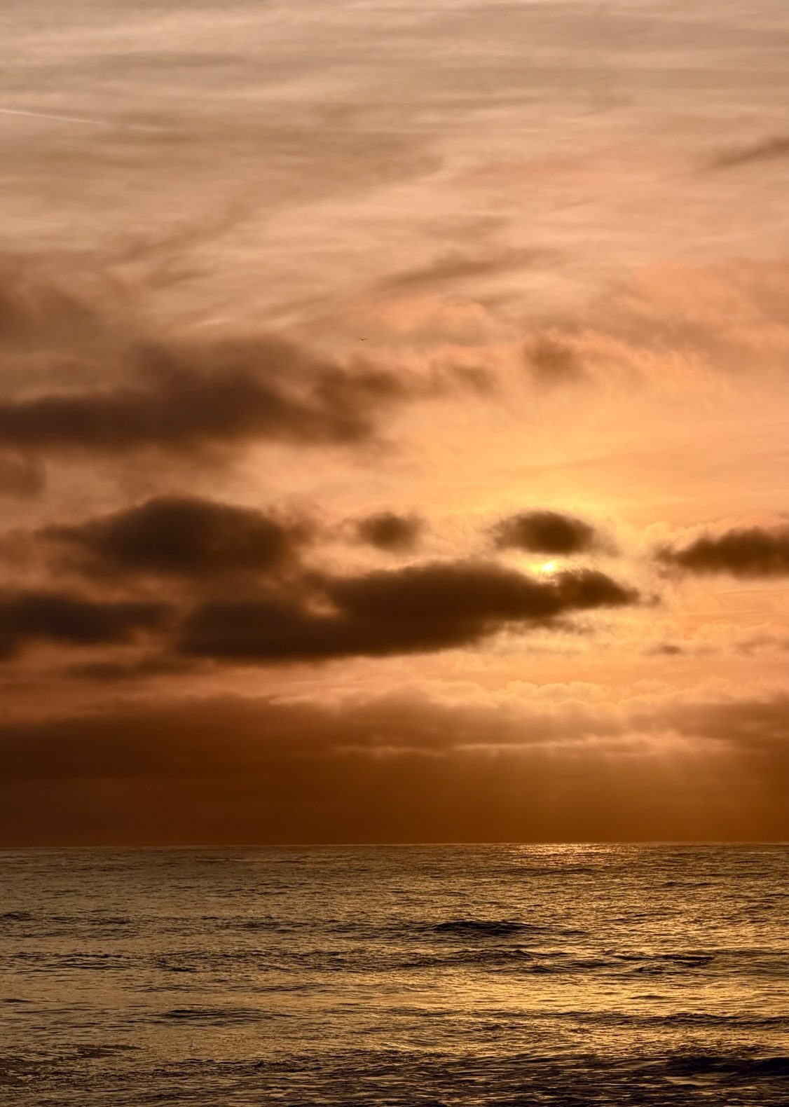 romantic sunset